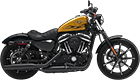 Shop genuine Sportster® Motorcycles at Brighton Harley-Davidson®