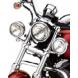 AUXILIARY LIGHTING KIT (Harley-Davidson®)
