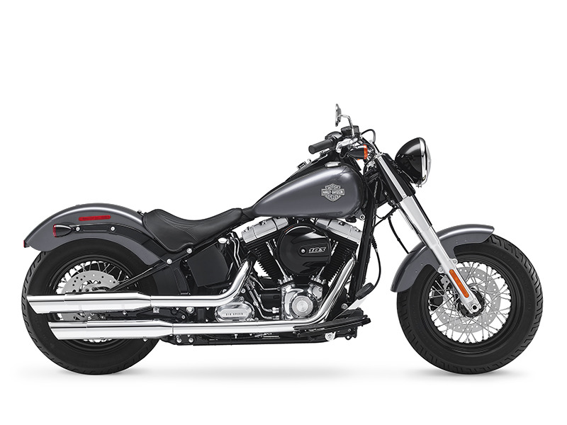 2016 Harley-Davidson&#174; Softail® FLS - Softail Slim&#174; Brighton, Michigan
