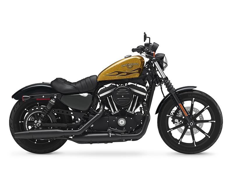 2016 Harley-Davidson&#174; Sportster® XL883N - Sportster&#174; Iron 883&#8482; Brighton, Michigan